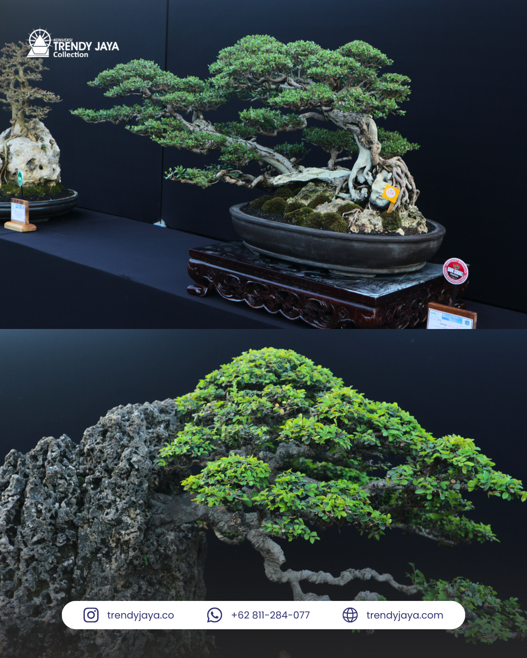 Taplak & Backdrop Meja Pameran